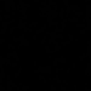 Meet your Posher, Garrett